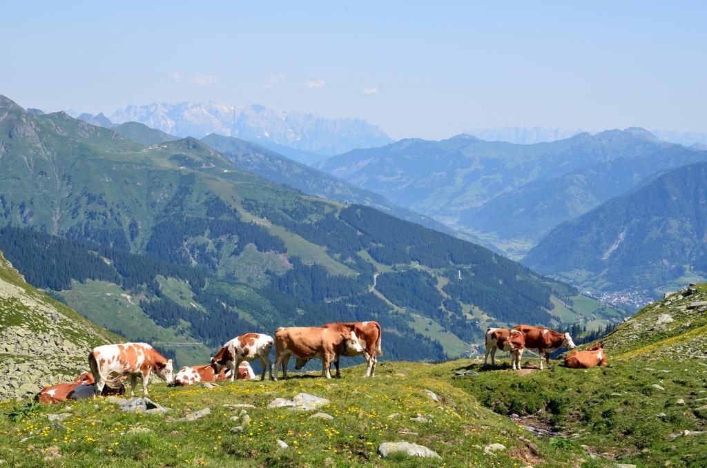 Scheibenhof Villa Bad Gastein Buitenkant foto